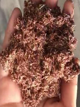 麻将胡了2·(中国区)官方网站-游戏入口